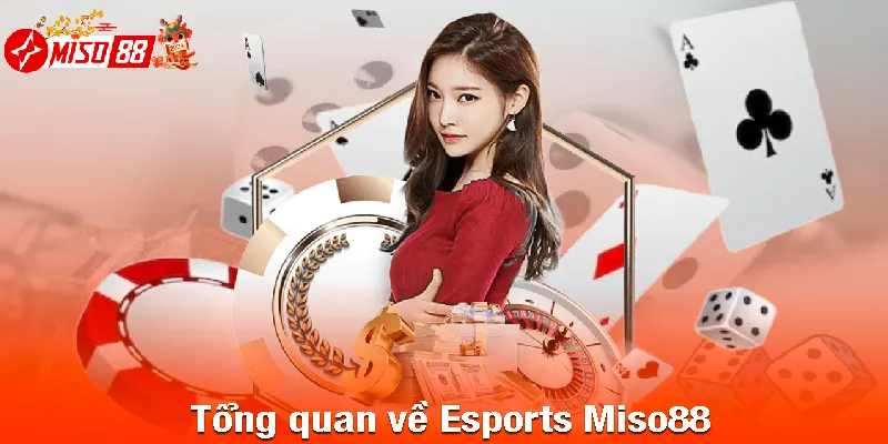 Tổng quan về Esports Miso88